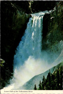 Yellowstone National Park Lower Falls Of The Yellowstone River - USA Nationale Parken