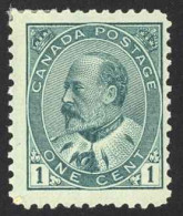 Canada Sc# 89 MNH 1903 1c Green EDVII (slight Gum Catch UL Rear) - Nuovi