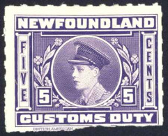 Canada Newfoundland Sc# NFC3 Mint (no Gum, Bottom Trimmed) 1925 5¢ Customs Duty - Fine Di Catalogo (Back Of Book)