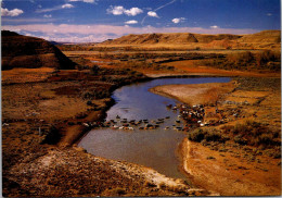 Canada Alberta Pinhorn Grazing Reserve Milk River Cattle Drive - Autres & Non Classés