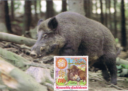 Nouvelle-Calédonie - Année Lunaire Chinoise Du Cochon CM 995 (année 2007) - Maximumkaarten