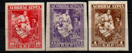 URSS - ARMATA DELL'OVEST - 1922 - COSTUMI REGIONALI - IMPERFORATED - MH - Armées De L'Ouest