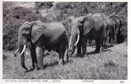 OUGANDA(ELEPHANT) - Oeganda