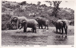 OUGANDA(ELEPHANT) - Oeganda