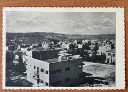 JUDAICA JEWISH POSTCARD POSTKARTE BY “TMUNA" NO. 108 JERUSALEM, REHAVIA. PALÄSTINA, PALESTINE. ISRAEL - Palestine