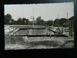 MONTENDRE LES PINS                            LA PISCINE - Montendre