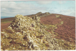 The Striperstones - (Shropshire, England, U.K.) - Shropshire