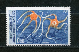 TAAF : FAUNE N° Yvert  N° 122 Obli. - Used Stamps