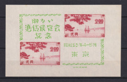 JAPAN NIPPON JAPON TOKYO COMMUNICATION EXHIBITION (BLOCK) 1948 / MNH / B 20 - Blocchi & Foglietti