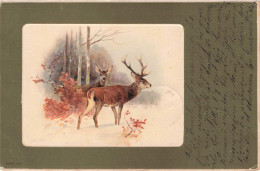 ANIMAUX - CERFS - Dinant - Un Cerf Et Une Biche Dans Une Forêt Enneigée - Colorisé - Carte Postale Ancienne - World