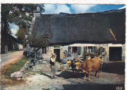 Delcampe - 18. CHAUMEIL(ENVIRONS DE ). CPA. LA FERME AU TOIT DE CHAUME. ANIMATION.. ATTELAGE DE BOEUFS. - Bauernhöfe