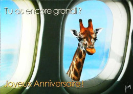 ►  Girafe Tu As Encore Grandi  ?   Avion - Girafes