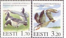 Estonia Estland 1995 Rare Birds Of Baltic Ducks Geese Set Of 2 Stamps Mint - Gänsevögel
