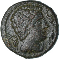 Monnaie, Iberia - Iltirta, As, 1st Century BC, Lerida, TTB+, Bronze - Keltische Münzen