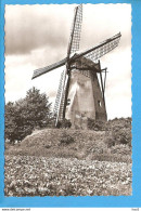 Ede Oude Molen RY48680 - Ede