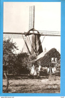 Ede Molen En Woning Ervoor RY48758 - Ede