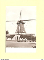 Deurne Marie Antoinette Molen RY46292 - Deurne