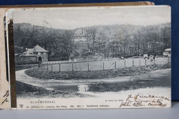 BLOEMENDAL    -          -              1905   CARTE  PARTIE  POUR  LA  FRANCE - Bloemendaal