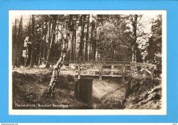 Hellendoorn Natuur Boksloot Eelerberg 1950 RY47073 - Hellendoorn