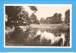 Ommen Natuur Oude Vecht 1949 RY47075 - Ommen