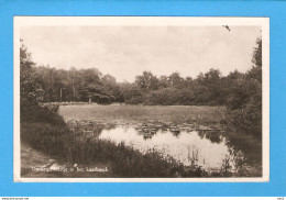 Ommen Meertje In Het Laarbosch 1949 RY47093 - Ommen