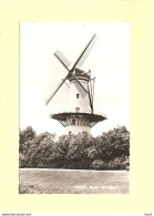 Tholen Molen De Hoop RY45448 - Tholen