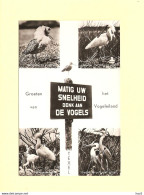 Texel 4-luik Vogels RY44518 - Texel