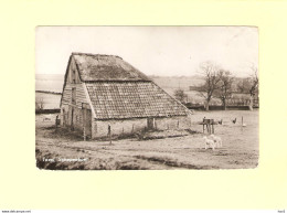 Texel Lammetjes Bij Schapenboet RY44808 - Texel