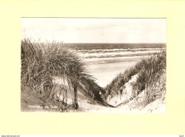 Texel Doorkijkje Naar Zee RY44849 - Texel