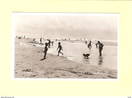 Texel Een Dagje Strand En Zee 1958 RY44847 - Texel