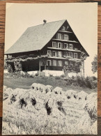 AK: CHAM - BAUERNHAUS - Cham