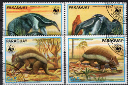 WWF-Set #23 Paraguay 4225/8 O 2€ Naturschutz 1988 Ameisen-Bär Riesen-Gürteltier Sets Fauna Priodontes Stamps Of Wildlife - Gebraucht