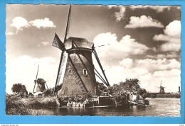 Kinderdijk Drie Molens RY49929 - Kinderdijk