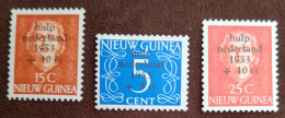 Nederlands Nieuw Guinea - Nrs. 22 T/m 24 Watersnood 1953 (postfris) - Nederlands Nieuw-Guinea