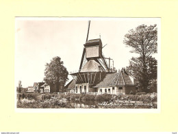 Weesp Molen 't Haantje Stammerdijk RY46315 - Weesp