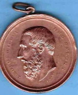 Belgique  (PHILIPPEVILLE) Médaille AVERS « LEOPOLD II ROI DES BELGES » - REVERS « COMICE AGRICOLE/DU CANTON DE ----> - Autres & Non Classés