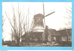 Rijssen Molen Aan De Regge Repro / Foto ML1038 - Rijssen