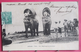 Delcampe - Viet Nam - Annam - Vinh - Eléphants Transporteurs - 1905 - Jolis Timbres Dont 1 Taxe - Vietnam