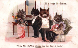 Chat - Cpa Illustrateur - Chats Humanisés - Yes , Mr BLACK Always Has The Best Of Luck - Cat Katze - Chats