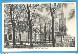 Steenwijk Rijks HBS En Ned Hervormde Kerk 1931 RY51447 - Steenwijk