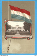 Soestdijk Paleis Fantasie Vlag Ca. 1900 RY49417 - Soestdijk