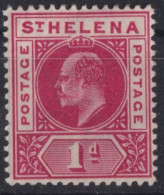 ST. HELENA 1902 - MLH - Sc# 49 - Saint Helena Island