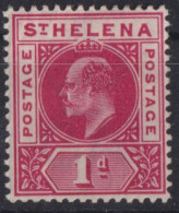 ST. HELENA 1902 - MLH - Sc# 49 - Isola Di Sant'Elena