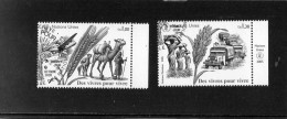 2005 Nazioni Unite - Ginevra - Saggezza Della Natura - Used Stamps