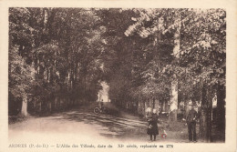 C5905 ARDRES L'allée Des Tilleuls - Ardres