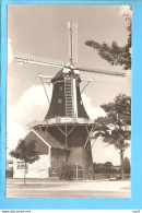 Winschoten Molen Winschoterdiep Repro/foto ML1150 - Winschoten