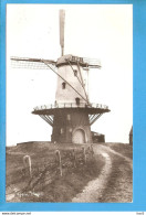 Veere Molen RY49717 - Veere