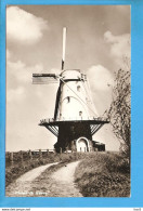 Veere Molen RY49716 - Veere