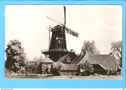 Haren Gezicht Op De Molen 1960 ML984 - Haren