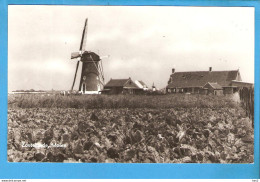 Zoutelande Molen RY49719 - Zoutelande